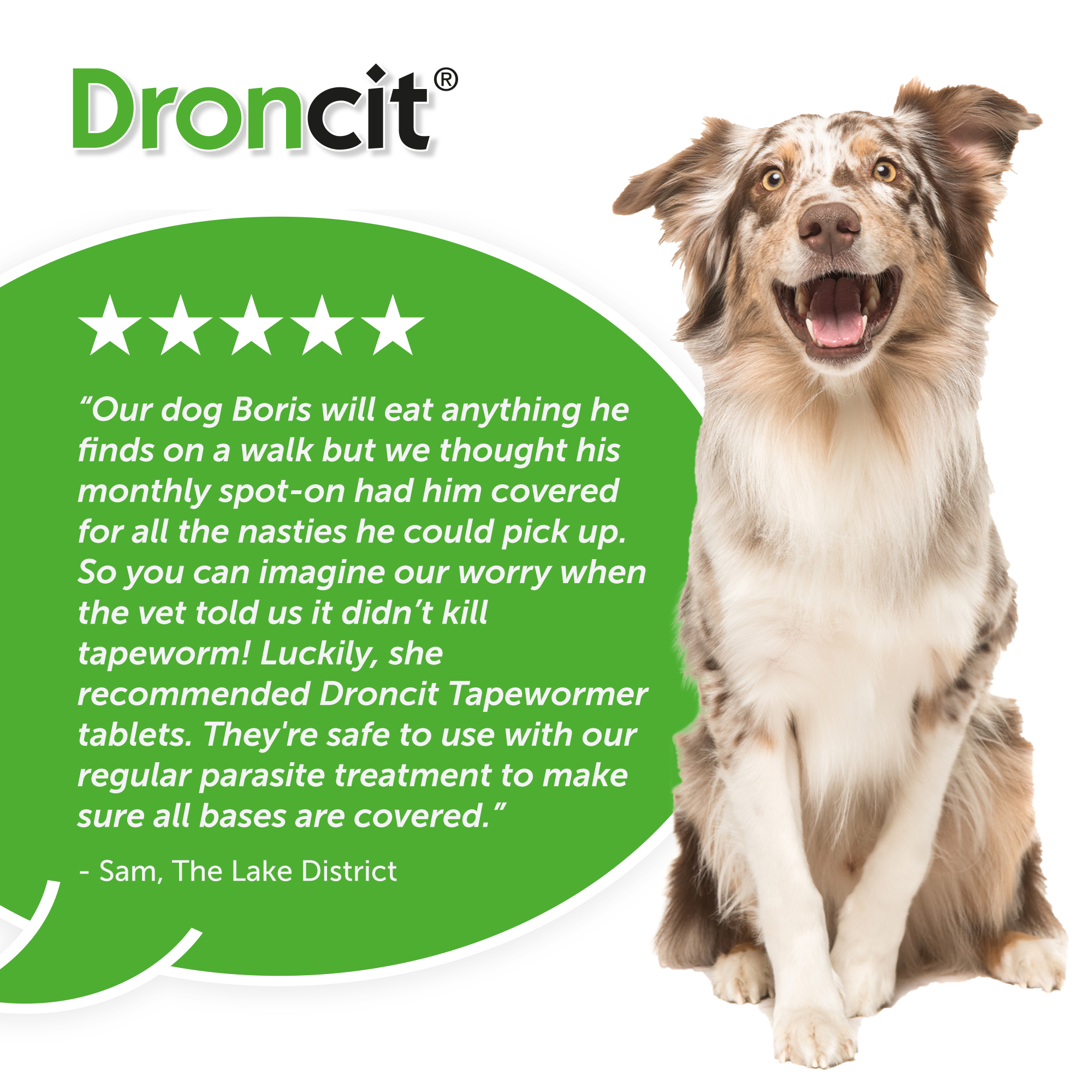 Droncit Tapewormer Tablet Worming for Dogs and Cats Dogs Vetoquinol