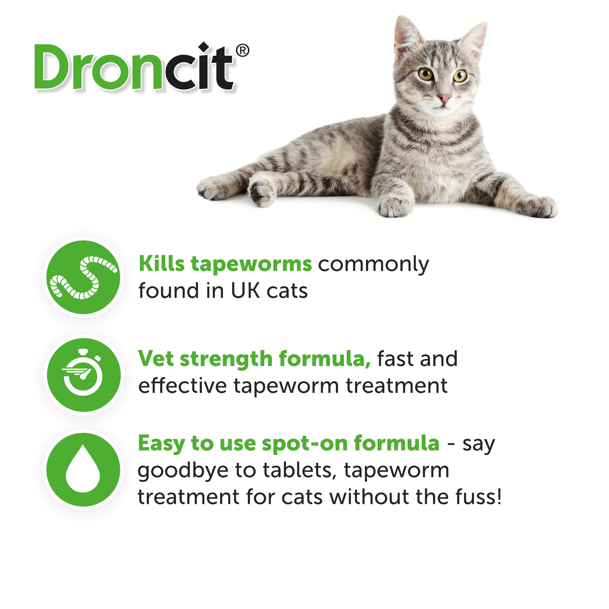 Droncit Tapewormer Spoton Tapeworming for Cats Vetoquinol